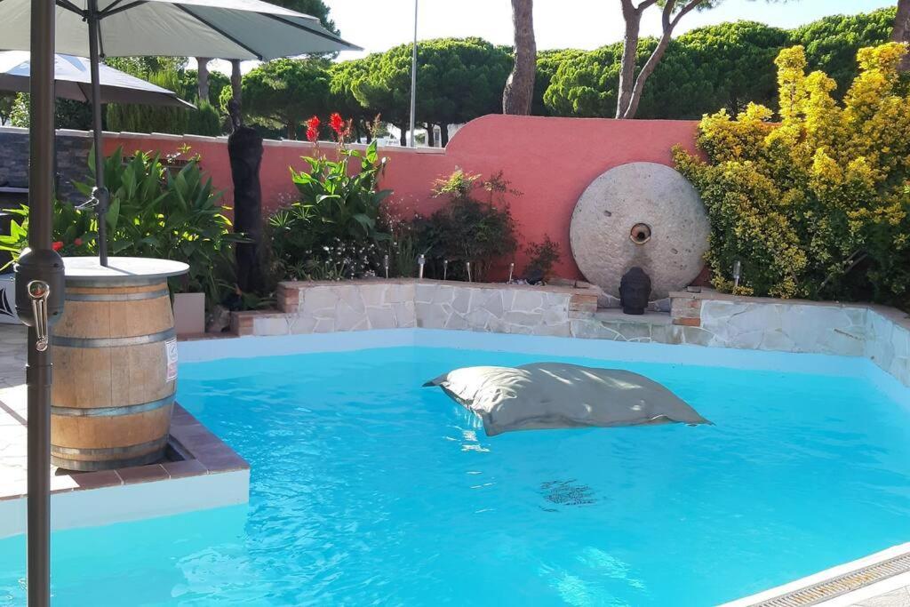 Hebergement Chambre D'Hotes Grau Du Roi Mas Des Marines Piscine Adult Only Le Grau-du-Roi Bagian luar foto